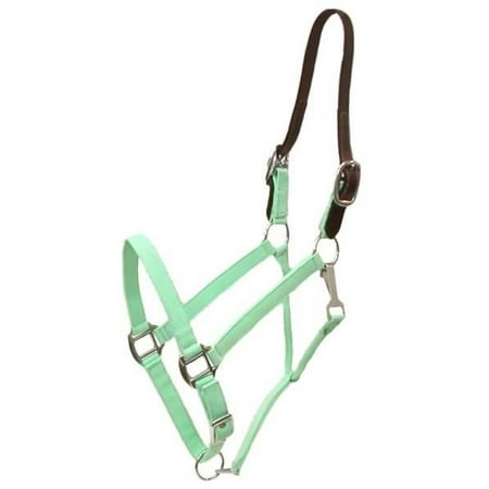 UPC: 0840875051970 | Gatsby Classic Nylon Breakaway Halter With Snap Mint Green Horse