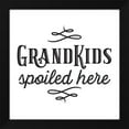 thumbnail image 2 of Tara Reed 15x15 Black Modern Wood Framed Wall Art Titled - Grandparent Life XII-Spoiled Here, 2 of 6