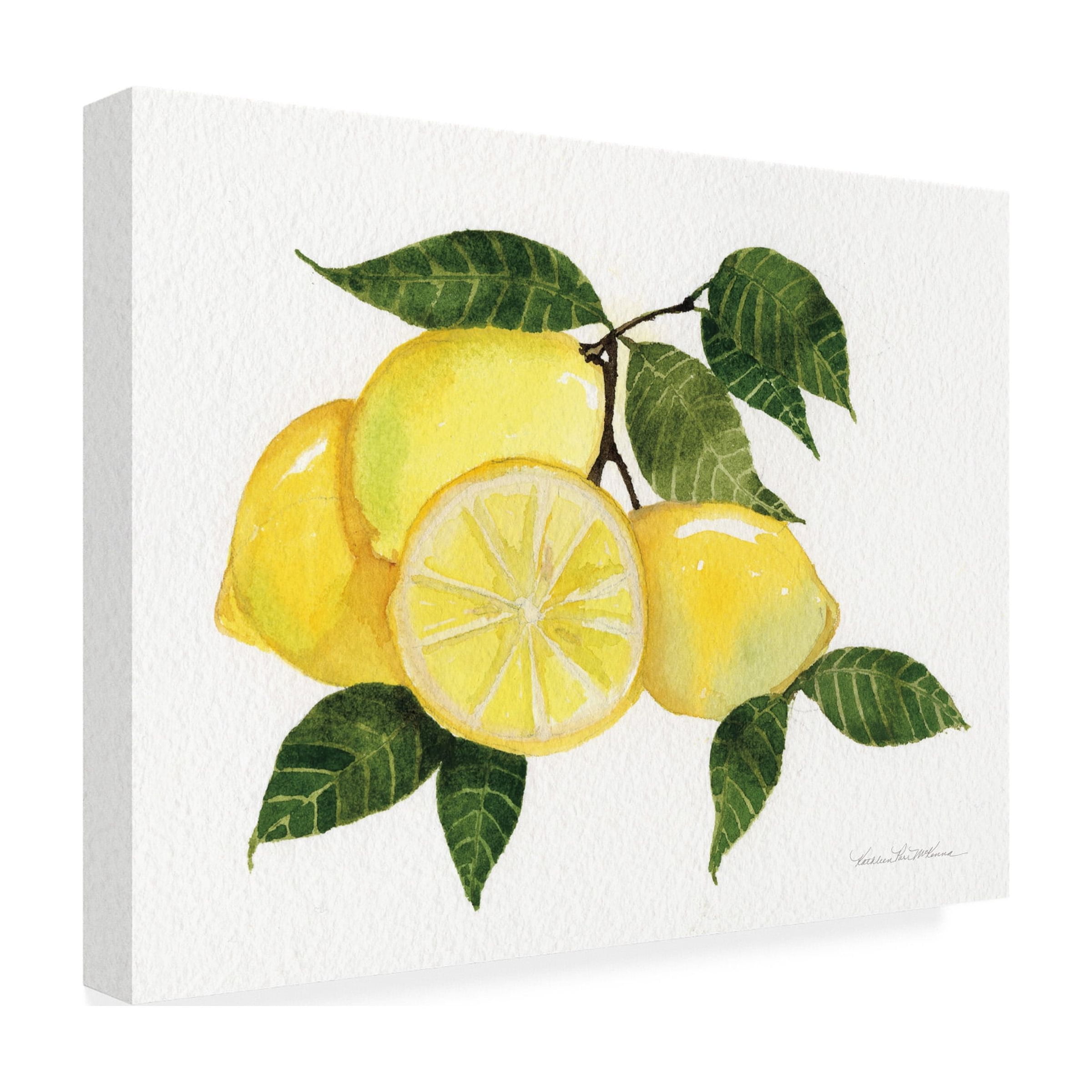 Trademark Fine Art 'Citrus Garden VI' Canvas Art by Kathleen Parr McKenna