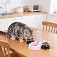 thumbnail image 4 of Ensemble Automatique de Station de Repas et d'Eau pour Chat avec Bol et Distributeur d'Eau Automatique pour Usage Intérieur, Distributeur d'Aliments pour Animaux et Solution de Boisson, 4 of 6