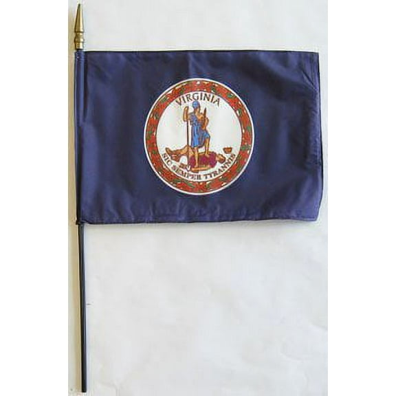 Virginia - 8"X12" Stick Flag
