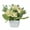 White, variant on Visland Artificial Plants Faux Rose Flower Potted Small Artificial Bonsai Fake Plants with Pots for Home Desk Office Desktop Decoration Indoor Outdoor Decor