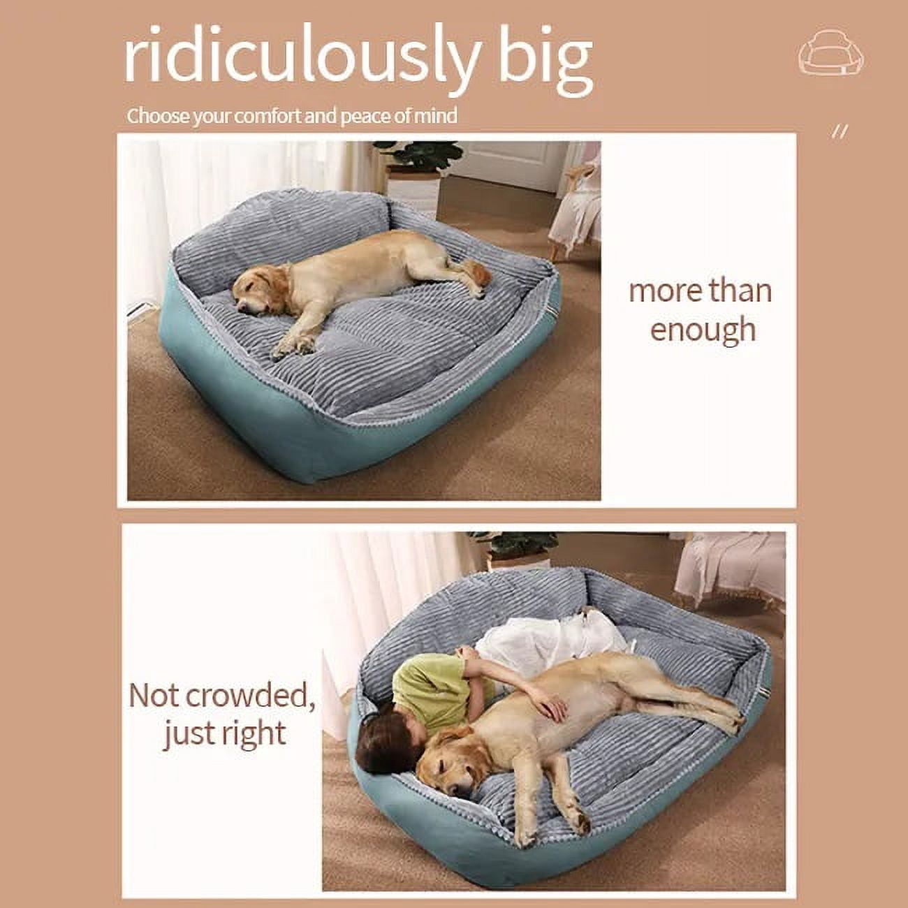 Dog Bed for Large Medium Small Dogs, Rectangle Washable Sleeping Puppy Bed, Orthopedic Pet Sofa Bed,  Anti-Slip Bottom with Multiple Size