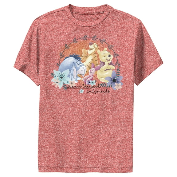 Boy's Winnie the Pooh Best Friends Performance Graphic Tee Red Heather Small