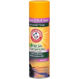 Arm and hammer carpet deodorizer walmart online