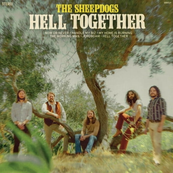 The Sheepdogs - Hell Together - Music & Performance - CD
