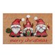 thumbnail image 1 of Felpudo decorativo de bienvenida de Navidad, felpudo de Navidad con divertido gnomo Tomte, felpudo de goma antideslizante para Navidad, felpudo de entrada para interior y exterior, felpudo para, 1 of 5