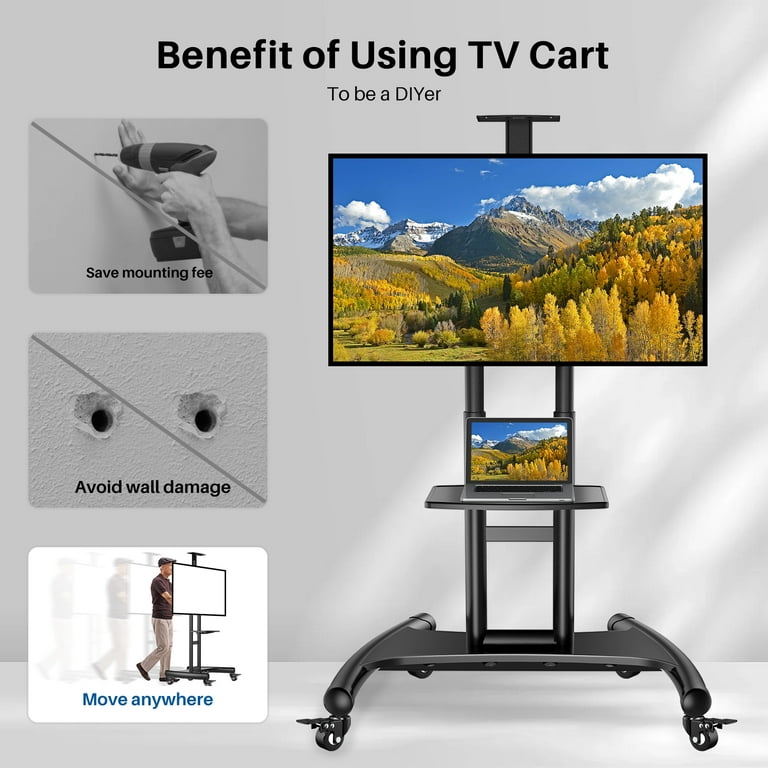 Diy Outdoor Tv Cart On Wheels Savings www.meesenburg.kz