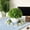 C, variant on Mini Simulation Green Plant Bonsai,Realistic Leaf Texture Faux Potted Ornament,Lightweight Durable No Maintenance Design,Natural Style Display Prop for Office Living Room Desk Shelf Indoor Decoration