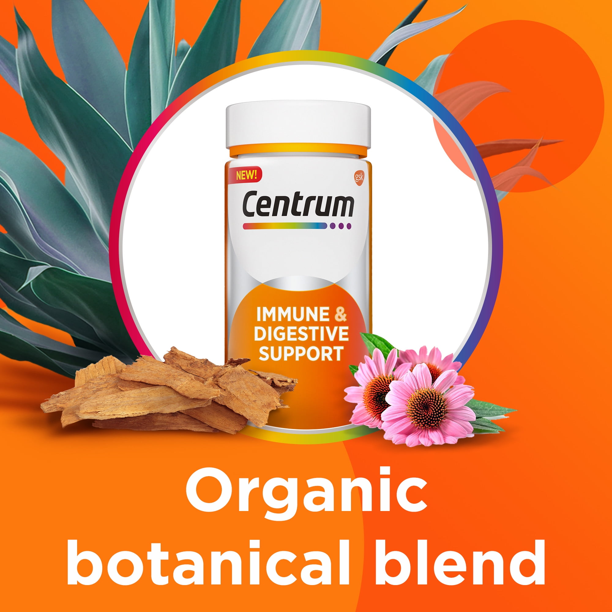 Centrum Immune and Digestive Support Probiotic Supplement Capsules, 50 Ct