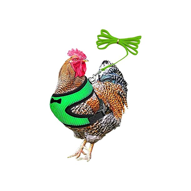 Pet Vest Elastic Training Hens Adjustable Strap With Leash Geese