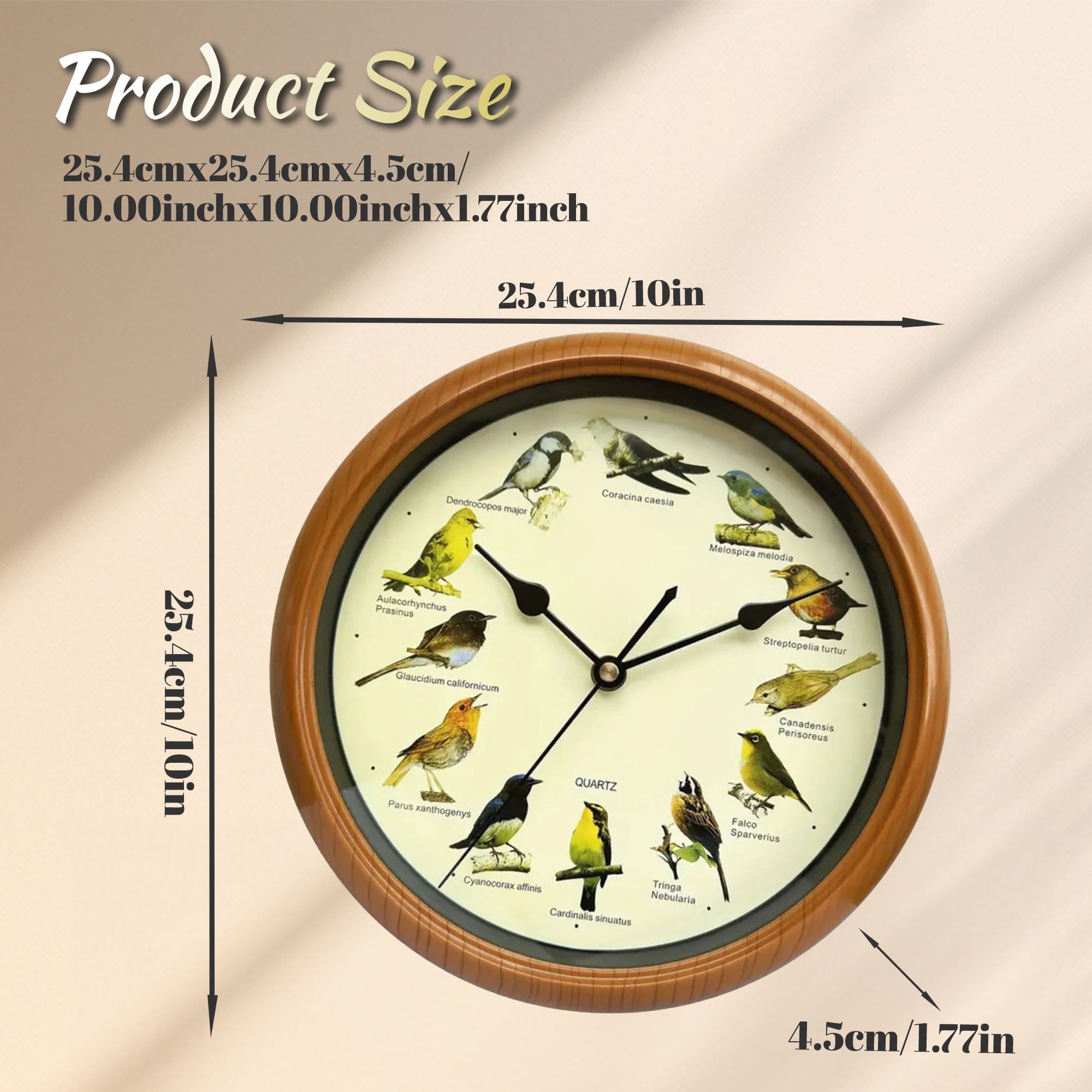 Menolana 10" Modern Singing Bird indoor Wall Clock, Easy Installation