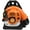 Orange, variant on Lorelo Backpack Leaf Blower, 52CC 2 Stroke Gas Powered Leaf Blower for Blowing Leaves, Dust, or Snow, 205 MPH 550 CFM Dust Blower for Lawn Care, Road Cleaning