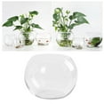 thumbnail image 3 of Glass Round Vases Clear Bubble Bowl Aquarium Hydroponics Holder Flower Container for Office Wedding Party ( 15CM ), 3 of 6
