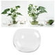 thumbnail image 3 of Jarrón de vidrio transparente con soporte para plantas hidropónicas, florero creativo de escritorio para pecera, adorno para casa, oficina, hotel (25 cm), 3 of 7