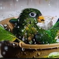 thumbnail image 5 of Orinice Green Bird Pot of Plants Water Droplets Bathroom Decor Set with Hooks, Colorful Luxurious Graphic Polyester Fabric Shower Curtain Set, Chic Modern Decor 69x72, 5 of 7