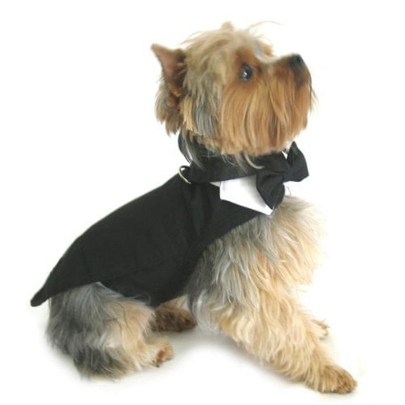 Dog Tuxedo w/ Formal Tails - Black - XXL (Chest 26-31")