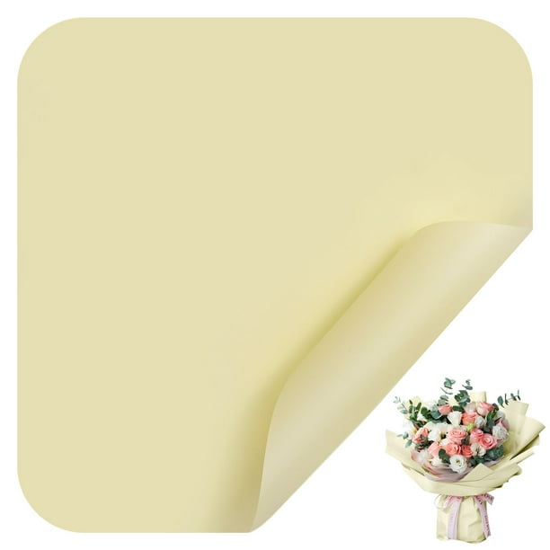 Amzcrzy Caja De Almacenamiento De Adornos, 20 Piezas, Papel De Regalo De Flores Translúcido Para Floristería, Papel Para Ramos De Flores, Arreglos Florales, Día De San Valentín, Día De La Madre, 22,8