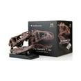 thumbnail image 4 of The Nation's T-Rex Skull Statue | 6-Inch Smithsonian Fossil Replica| 1:10 Scale, 4 of 7