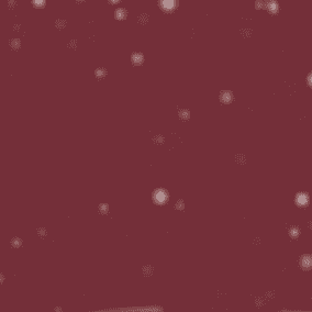 Rhubarb Red