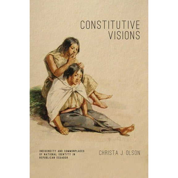 Rhetoric and Democratic Deliberation Constitutive Visions: Indigeneity and Commonplaces of National Identity in Republican Ecuador, Book 9, (Paperback)
