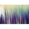 thumbnail image 2 of SD Enterprises 18x13 White Modern Wood Framed Museum Art Print Titled - Colors of Canada II, 2 of 4