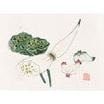 thumbnail image 2 of Zhengyan, Hu 14x12 White Modern Wood Framed Museum Art Print Titled - Page from Shi Zhu Zhai Green Seed Pods, 2 of 4
