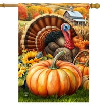 Briarwood Lane Wild Turkey and Pumpkins House Flag