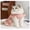 Pink, variant on Dog Dresses for Small Dogs Puppy Girl Clothes with D-Ring and Cute Purple Tulip Summer Cat Apparel ,Purple Girl Dog Clothes,S
