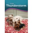 thumbnail image 1 of Pre-Owned Thunderstorm, The (Paperback) 1584534761 9781584534761, 1 of 1