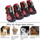 thumbnail image 4 of Methold Zapatos para mascotas TureClos, botas deportivas de interior, malla transpirable, algodón clásico, cremallera, calzado para mascotas Ropa para mascotas rojo cuatro Methold PT000055-04B, 4 of 6