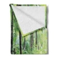 thumbnail image 2 of Peace Garden Soft Flannel Fleece Throw Blanket, Green Landscape in South China Palm Trees and Bushes Growth Nature, Cozy Plush for Indoor and Outdoor Use, 50" x 60", Green Grey Brown, by Ambesonne, 2 of 5