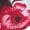 Brick Red, variant on LYHaoo Floral Print Girls Dress With Bow And Puff Sleeves For Summer Casual Party Occasions,Girls A Line Dresses Sizes 9-12 Months Red