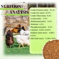 thumbnail image 2 of Alimento para gallinas SANSECT 2,3 kg de gusanos de la harina naturales, alto en proteína, 2 of 7