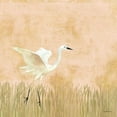 thumbnail image 2 of Lovell, Kathrine 12x12 White Modern Wood Framed Museum Art Print Titled - Egret Alighting I, 2 of 4
