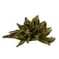 thumbnail image 1 of Vickerman H2STAX100 12-16 in. Basil Star Pods - 2XL, 1 of 1