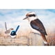 thumbnail image 1 of Taladro Pintura Diamante (DF3458) 5D DIY Animales completos Kit de punto de cruz Craft (Bird02) 30x40cm FLhrweasw Nuevo, 1 of 1
