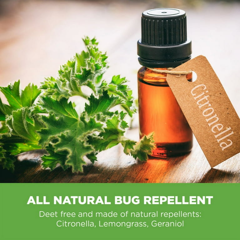 Walmart bug deals repellent bracelet