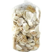 Akasha Decorative Assorted White Shells, 1.5 lb. Bag