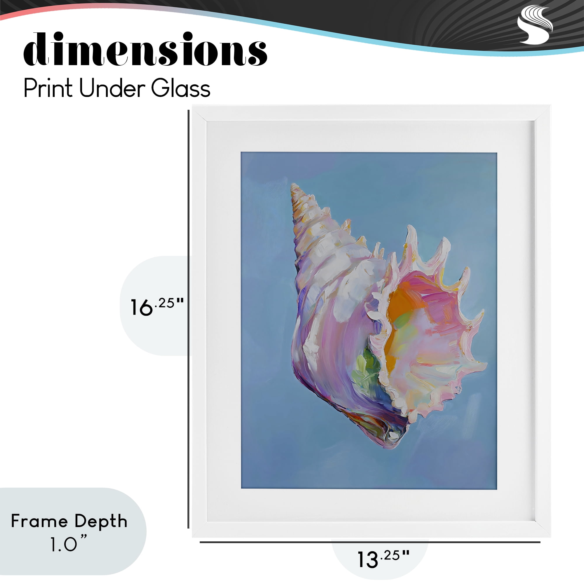 Stupell Industries Pastel Hued Conch on Blue White Framed Print Under Glass, design by The Prints Vibe