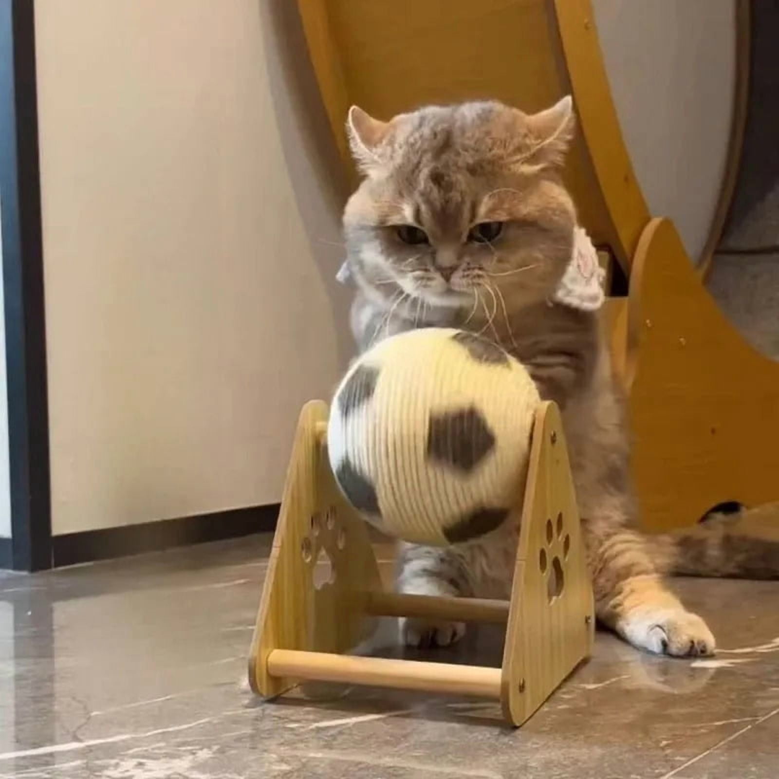 Solid Wood Cat Scratcher Ball - Natural Sisal Rope Interactive Toy for Cats Kittens Dogs Puppies