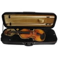 thumbnail image 2 of Estuche Profesional Resistente Sunnimix para Violín 4/4 Negro, 2 of 7