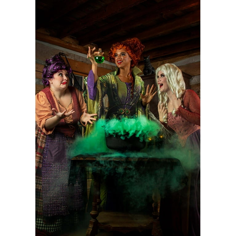 Plus size hocus pocus costume deals