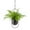 Black, variant on Clearance! Haidf Hanging Planter, Oval Metal Ceiling Hanging Plant Pots with Chain and Hook, Modern Decorative Hanging Planters for Indoor Outdoor Plants, Wall Hanging Flower Pot, 5.5", Black