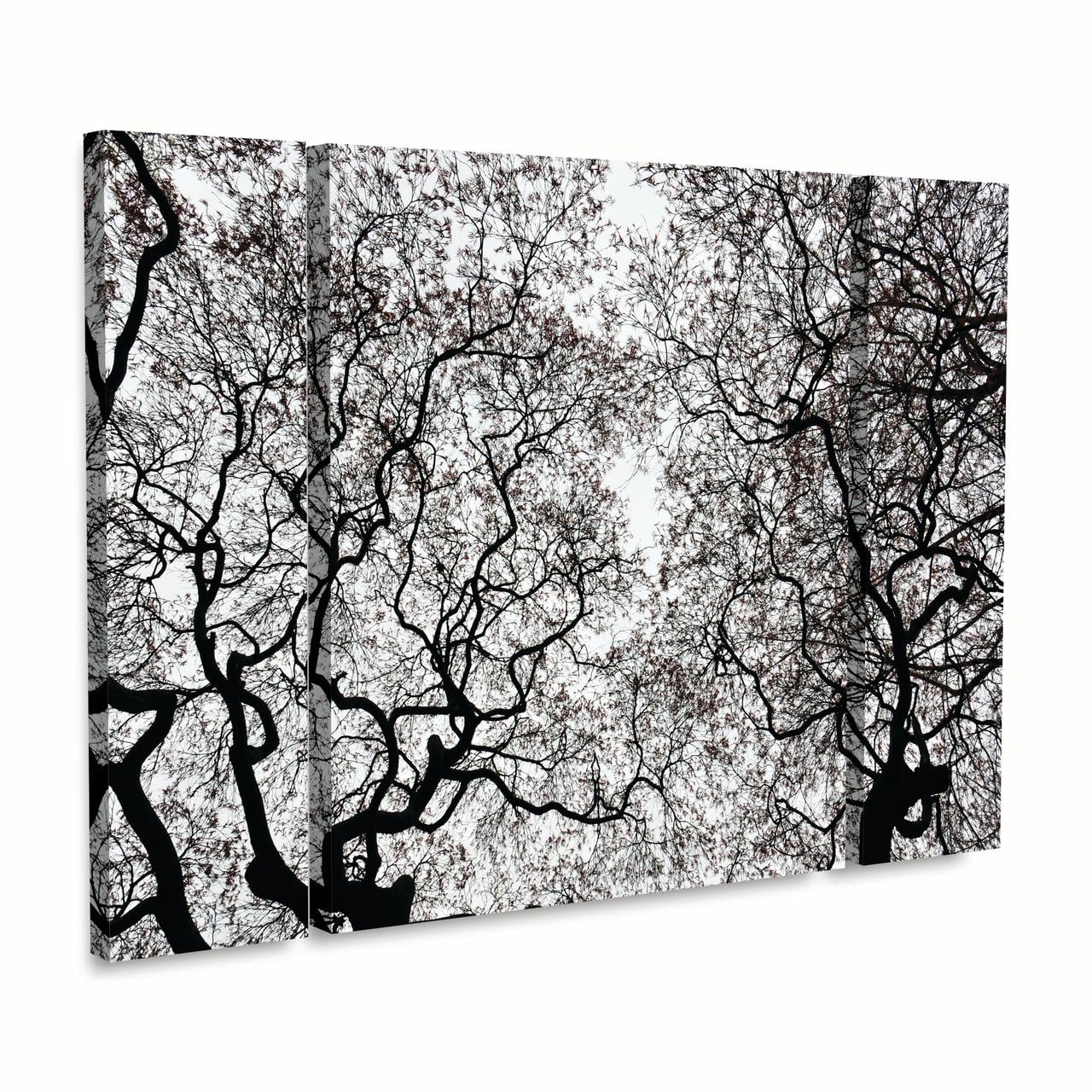 Trademark Fine Art 'Japanese Maple Spring Abstract' Canvas Art by Kurt Shaffer