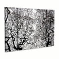 thumbnail image 2 of Trademark Fine Art 'Japanese Maple Spring Abstract' Canvas Art by Kurt Shaffer, 2 of 3