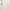 Off White, variant on U.S. Polo Assn. Heritage Tote Bag, Black