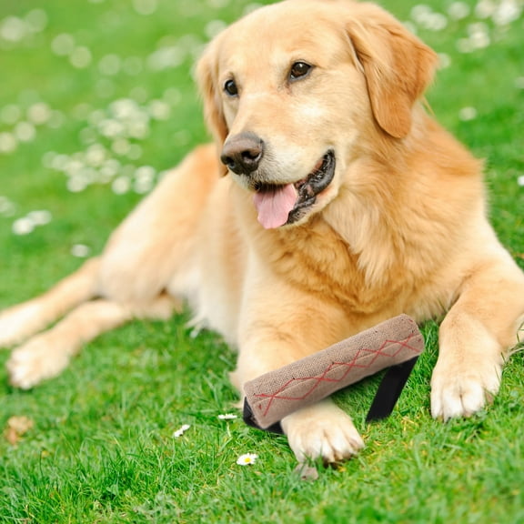 YSNOOWE 1Set Toy for Dog Rope and Fire Hose Material 7.9x2.4x2.4in