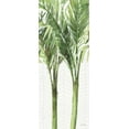 thumbnail image 2 of Audit, Lisa 15x32 Black Ornate Wood Framed with Double Matting Museum Art Print Titled - Mixed Greens XI, 2 of 4