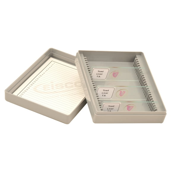 Eisco Labs Slide Box, Polystyrene, 25 Slides